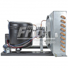 Unidade Condensadora Elgin 1/2 HP UCM-2030-ES 220V R22