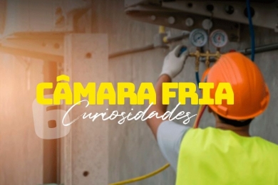 6 Curiosidades sobre Câmara Fria