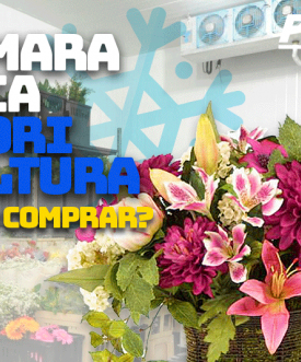 Câmara Fria Para Flores: Como comprar?