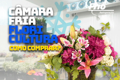 Câmara Fria Para Flores: Como comprar?