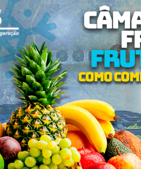 Câmara Fria para Frutas: 4 Principais Benefícios