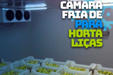 Câmara Fria para Hortaliças: Mantendo a Frescura e a Qualidade por Mais Tempo
