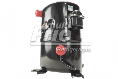 Motor Compressor 2,5 HP Tecumseh Lunite AWS 4532 EXN Monofásico 220V R22