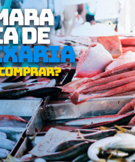 Vantagens de uma Câmara Fria para Pescados: Mantendo a Frescura e a Qualidade