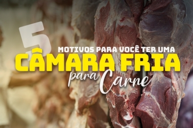 5 motivos para você ter uma Câmara Fria para Carne