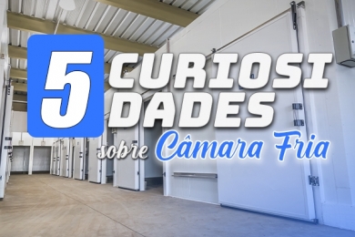 5 curiosidades sobre Câmara Fria